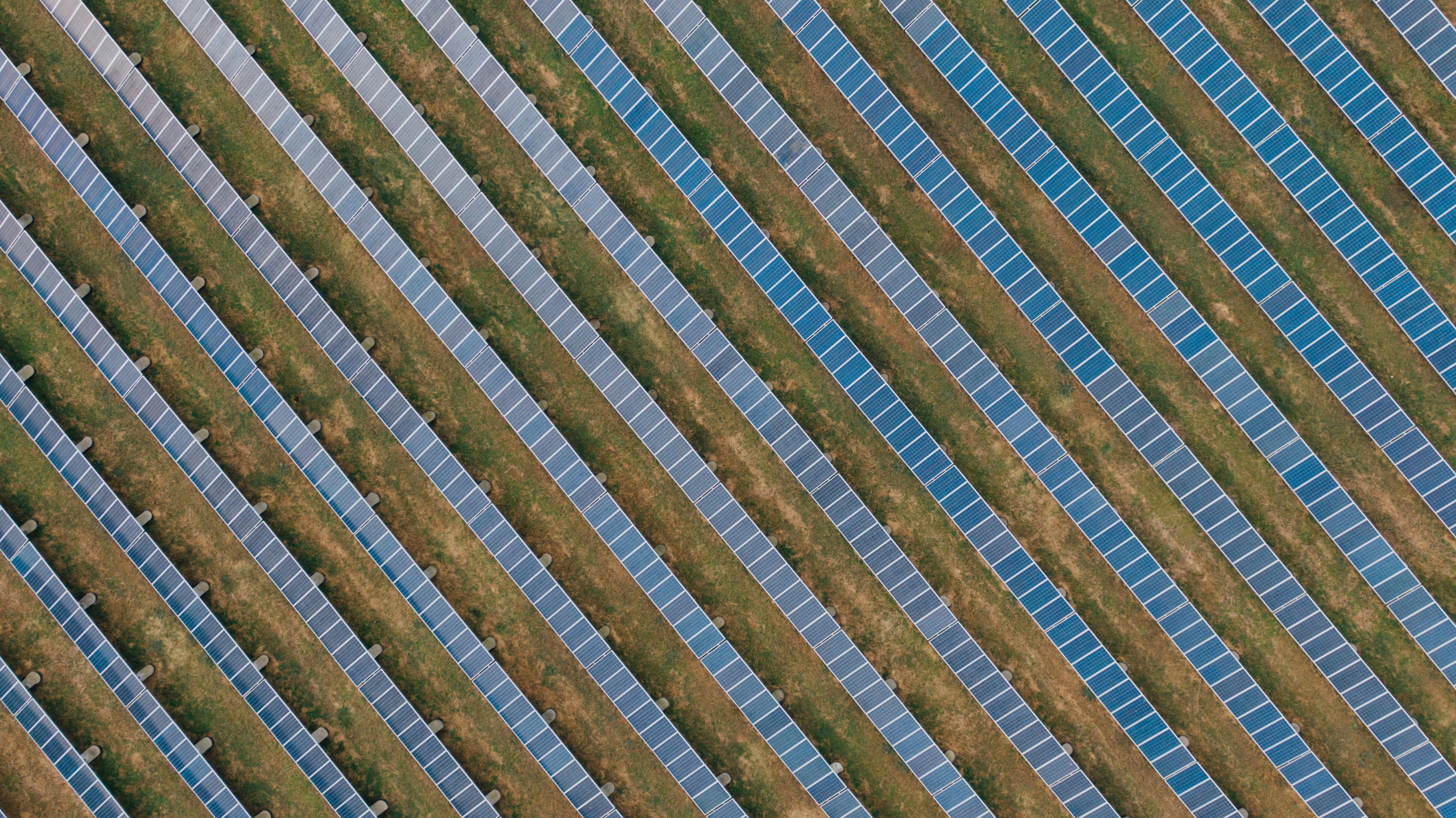 Image générée par IA